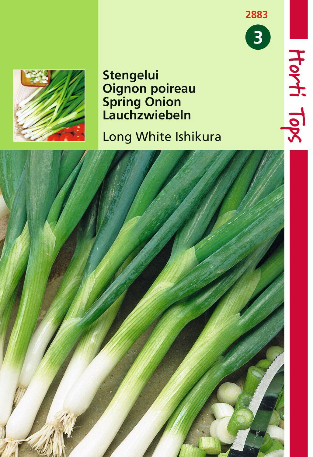 https://cdn.warentuin.nl/media/catalog/product/1/7/1778711117288305_hortitops_tuinzaden_hortitops_stengelui_kyoto_market_vh_ishiku_779d.jpeg