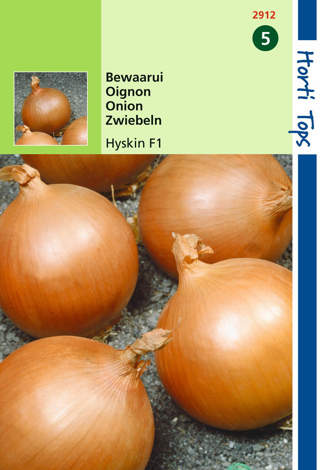 https://cdn.warentuin.nl/media/catalog/product/1/7/1778711117291206_hortitops_tuinzaden_hortitops_uien_hyskin_f1_a76f.jpeg