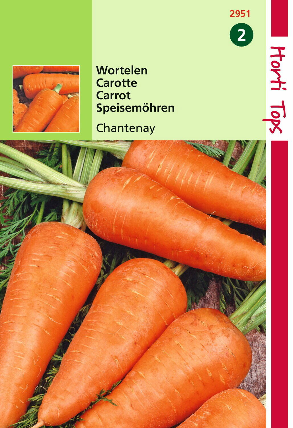 https://cdn.warentuin.nl/media/catalog/product/1/7/1778711117295105_hortitops_tuinzaden_hortitops_wortelen_chantenay_efe5.jpeg