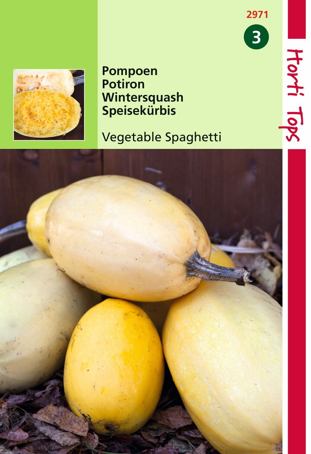 HT Pompoen Vegetable Spaghetti (wintersquash) Hortitops