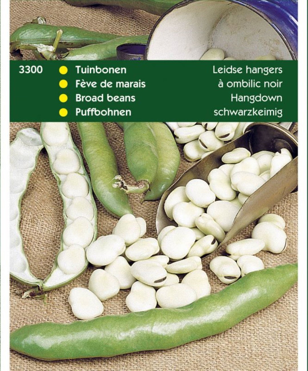 https://cdn.warentuin.nl/media/catalog/product/1/7/1778711117330004_doosjes_peulvruchten_spinazie_tuinzaden_tuinbonen_leidse_hange_1b51.jpg