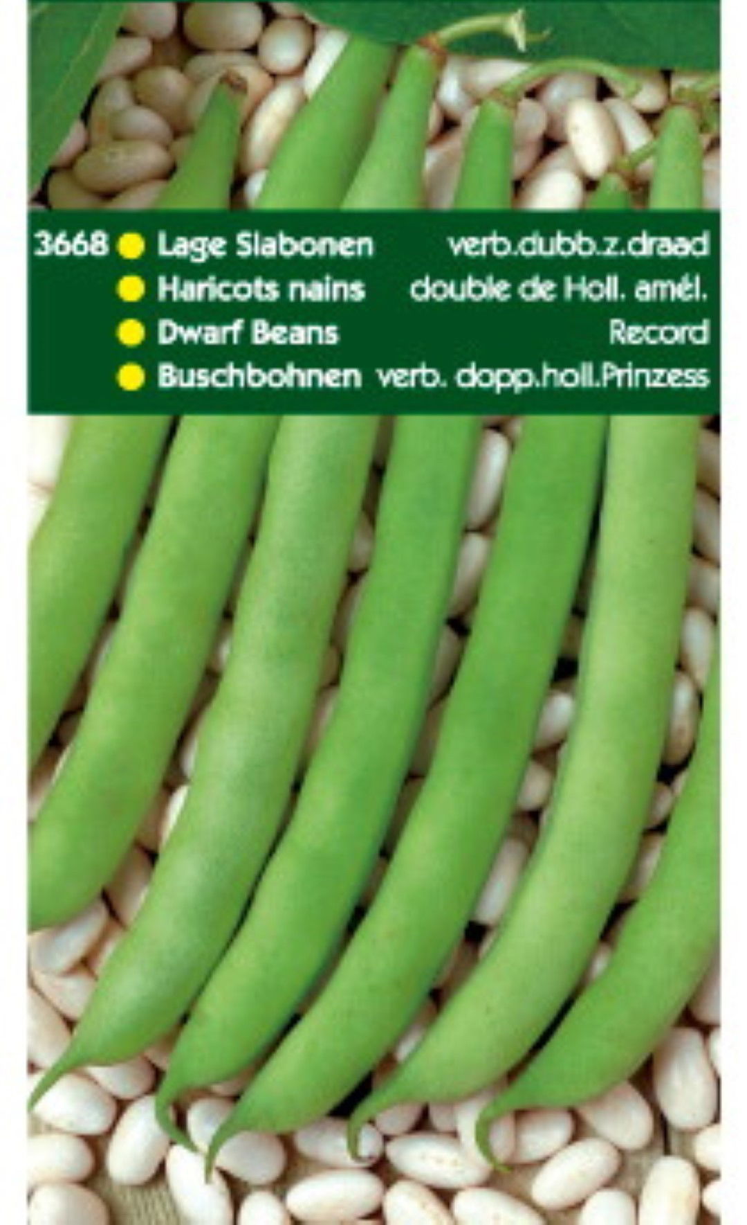 https://cdn.warentuin.nl/media/catalog/product/1/7/1778711117366805_doosjes_peulvruchten_spinazie_tuinzaden_stamslabonen_record_25_7b39.jpeg