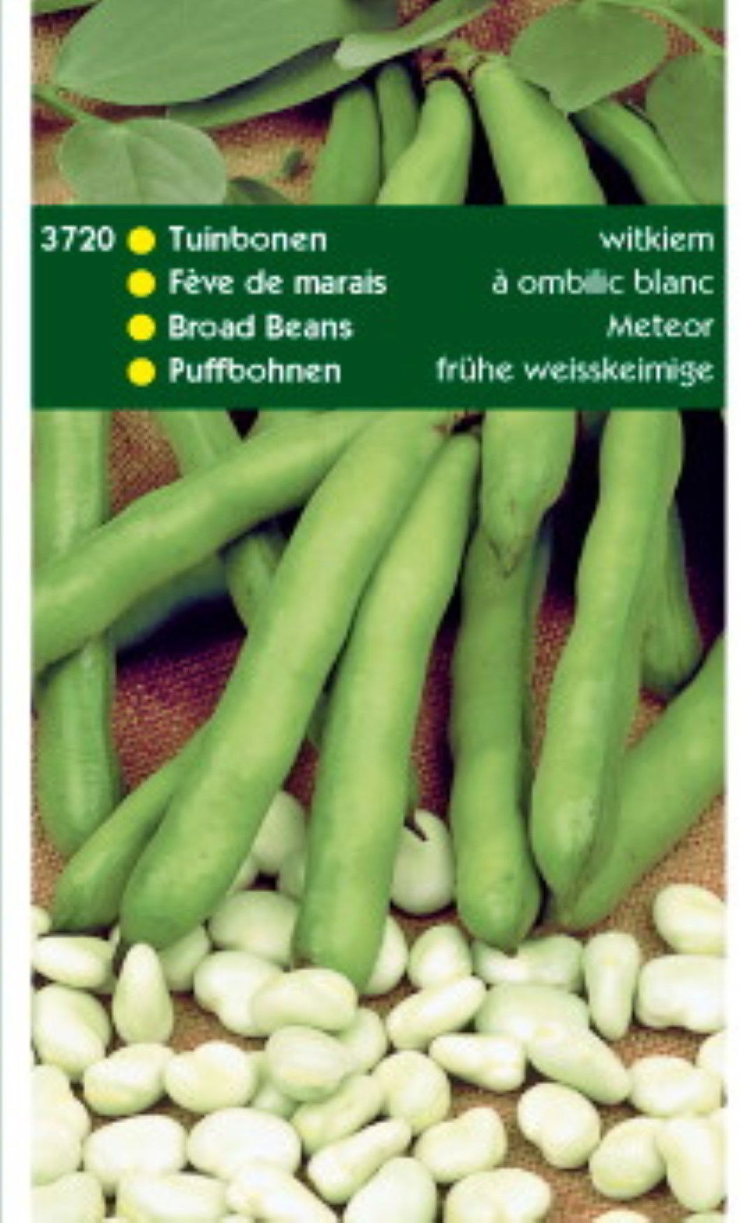 https://cdn.warentuin.nl/media/catalog/product/1/7/1778711117372004_doosjes_peulvruchten_spinazie_tuinzaden_tuinbonen_witkiem_250g_ef5e.jpeg