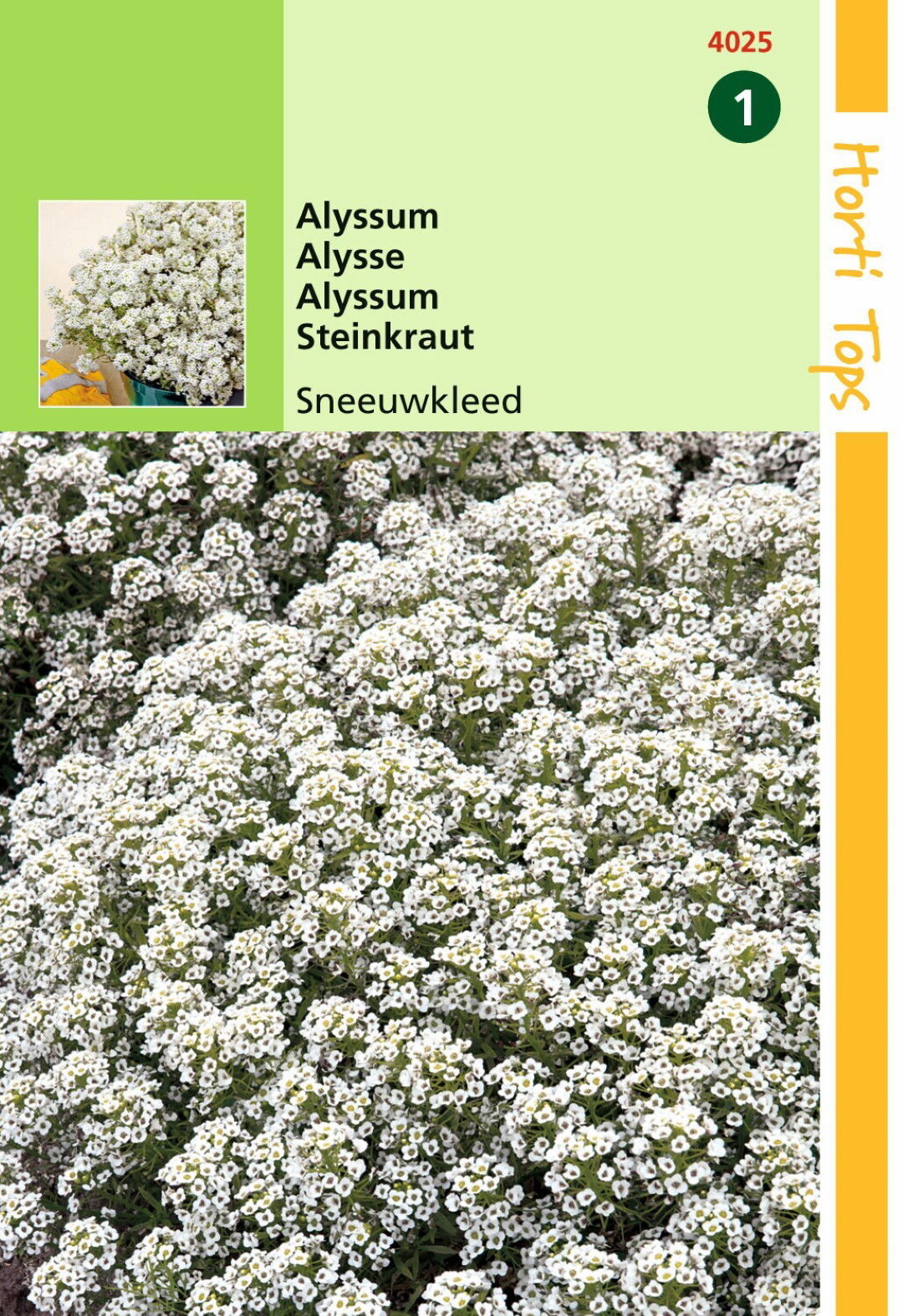 https://cdn.warentuin.nl/media/catalog/product/1/7/1778711117402503_hortitops_tuinzaden_hortitops_alyssum_sneeuwkleed_687c.jpeg