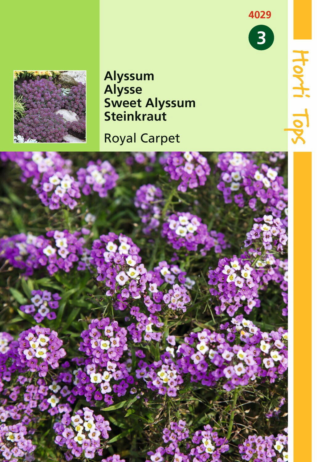 https://cdn.warentuin.nl/media/catalog/product/1/7/1778711117402909_hortitops_tuinzaden_hortitops_alyssum_royal_carpet_f21c.jpeg