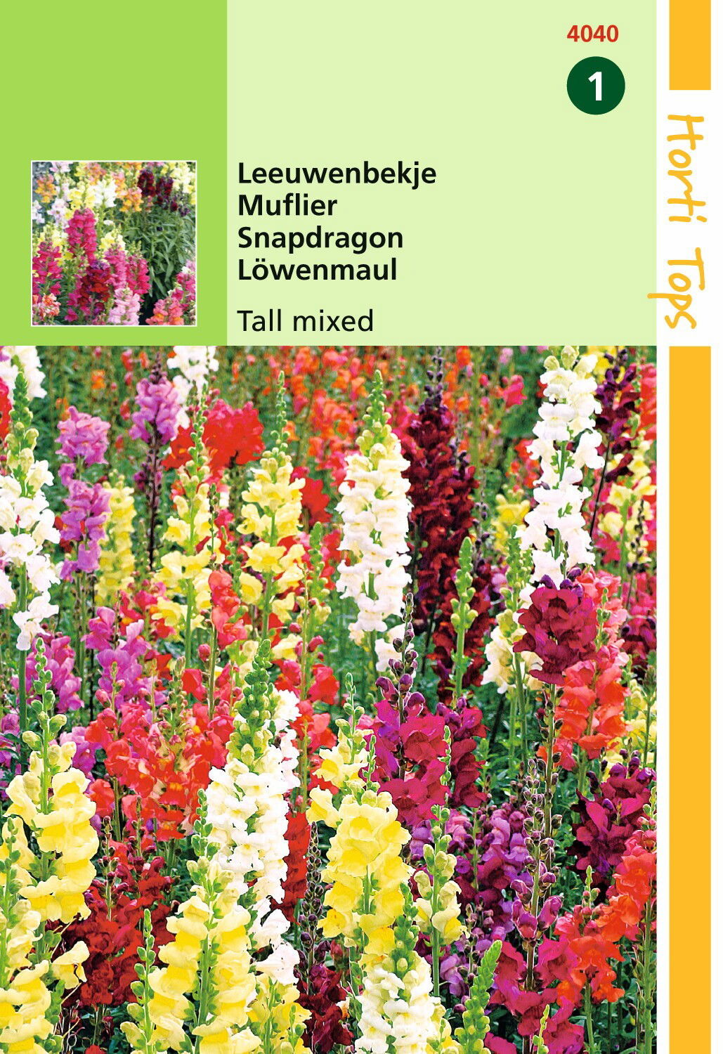 https://cdn.warentuin.nl/media/catalog/product/1/7/1778711117404002_hortitops_tuinzaden_hortitops_antirrhinum_leeuwenbekje_hoog_ge_24a3.jpeg