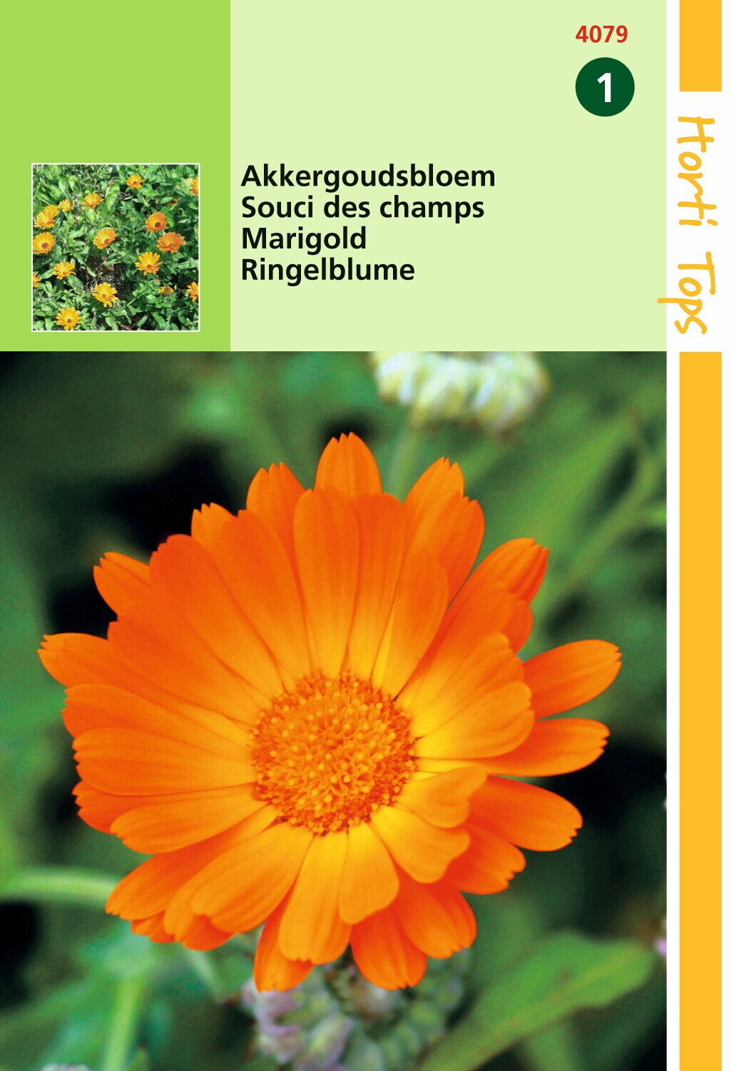 https://cdn.warentuin.nl/media/catalog/product/1/7/1778711117407904_hortitops_tuinzaden_hortitops_calendula_akkergoudsbloem_9098.jpeg