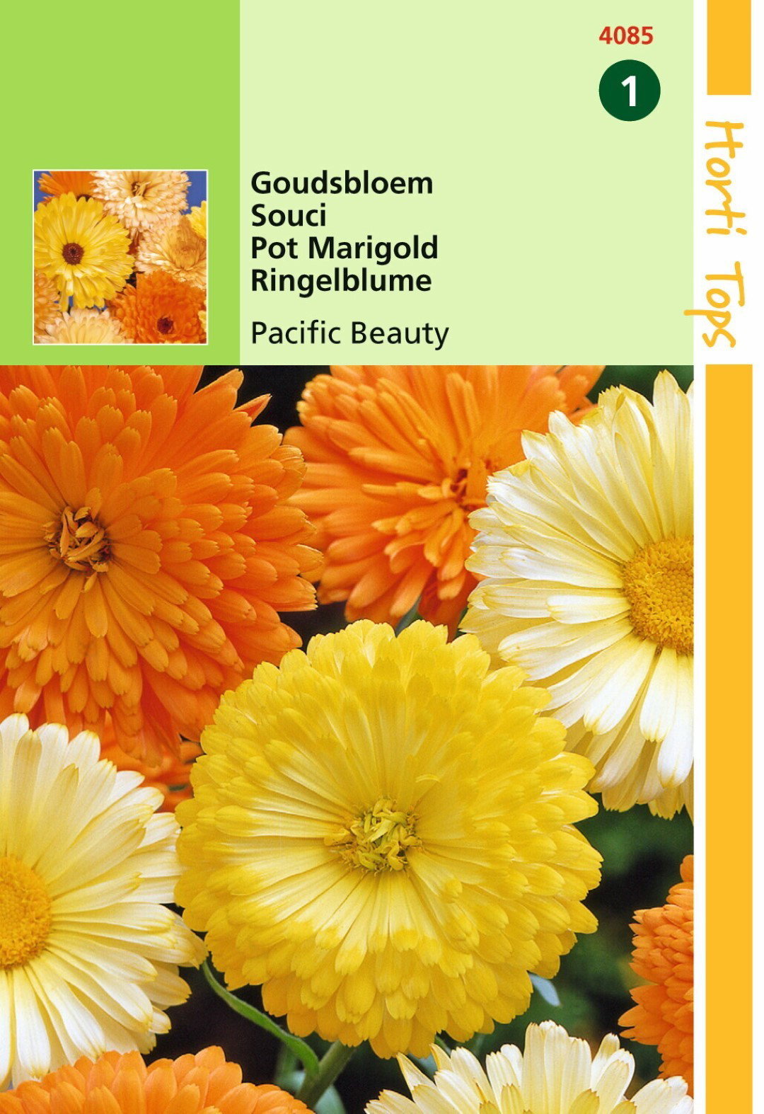 https://cdn.warentuin.nl/media/catalog/product/1/7/1778711117408505_hortitops_tuinzaden_hortitops_calendula_goudsbloem_pacific_bea_5f79.jpeg