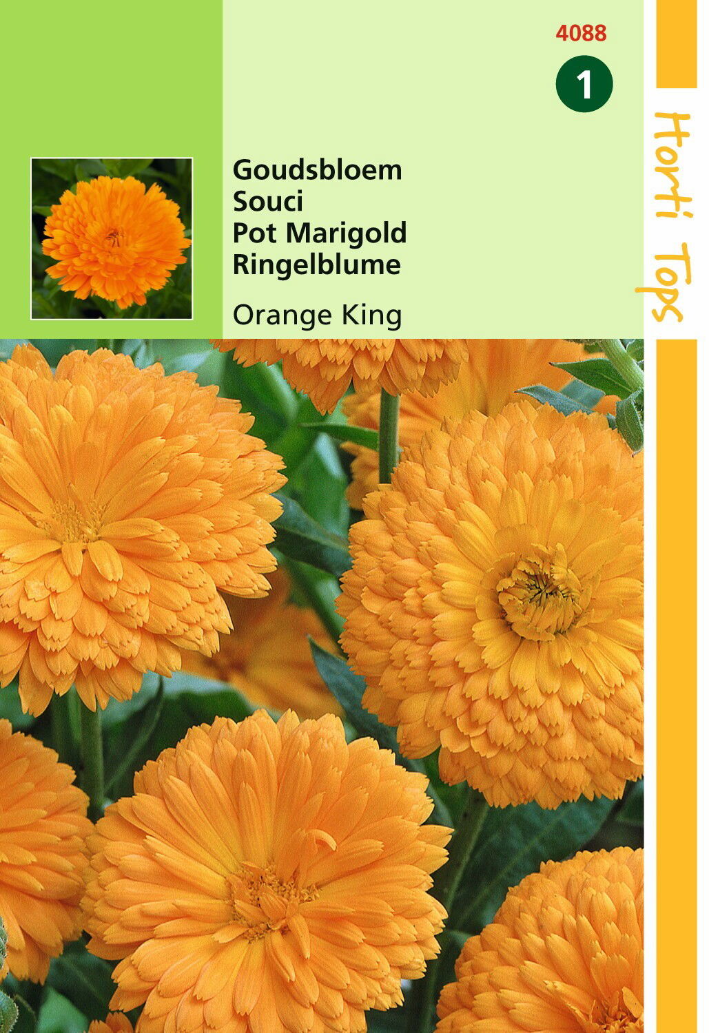 https://cdn.warentuin.nl/media/catalog/product/1/7/1778711117408802_hortitops_tuinzaden_hortitops_calendula_goudsbloem_orange_king_0489.jpeg