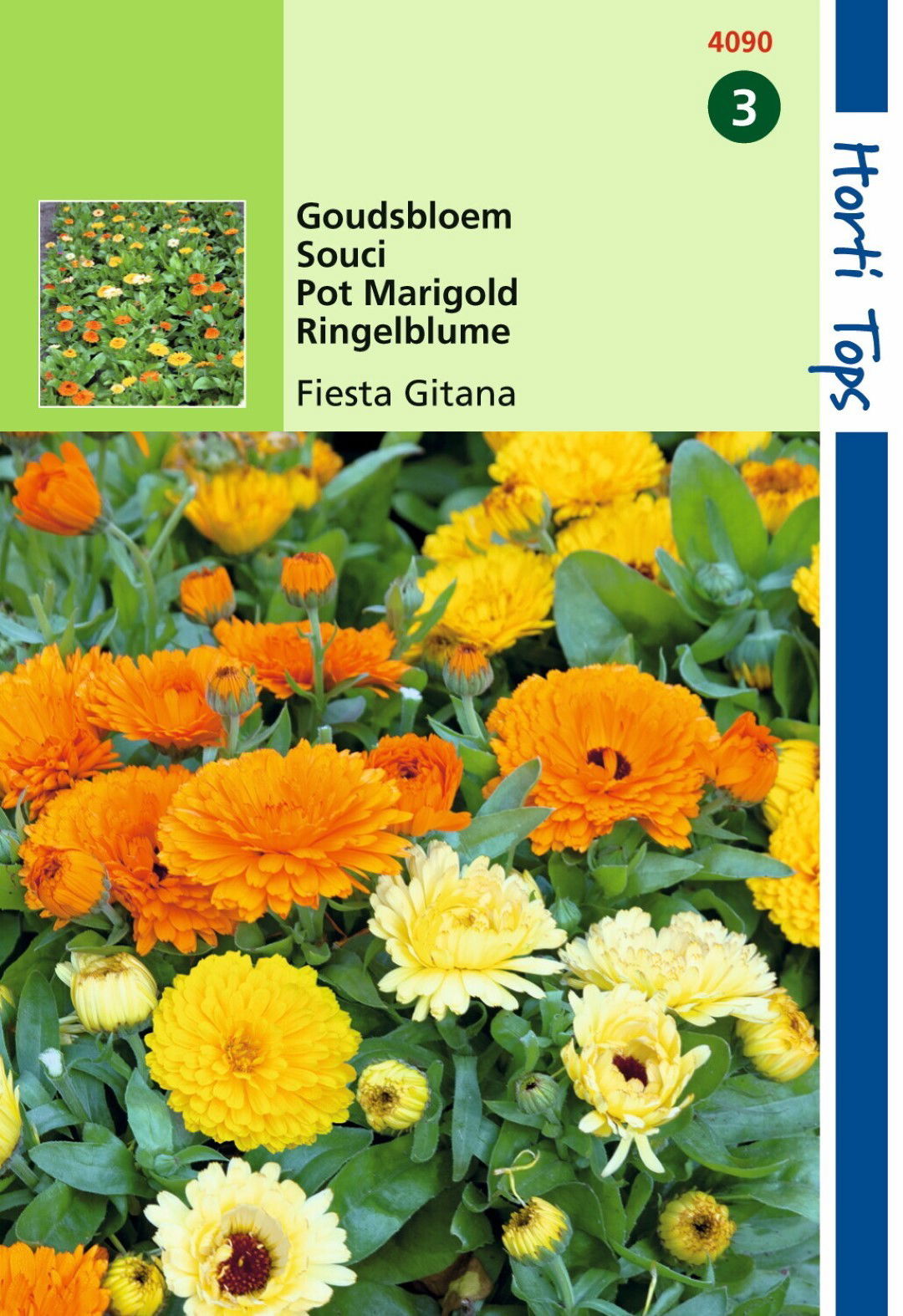 https://cdn.warentuin.nl/media/catalog/product/1/7/1778711117409007_hortitops_tuinzaden_hortitops_calendula_goudsbloem_fiesta_gita_89d6.jpeg
