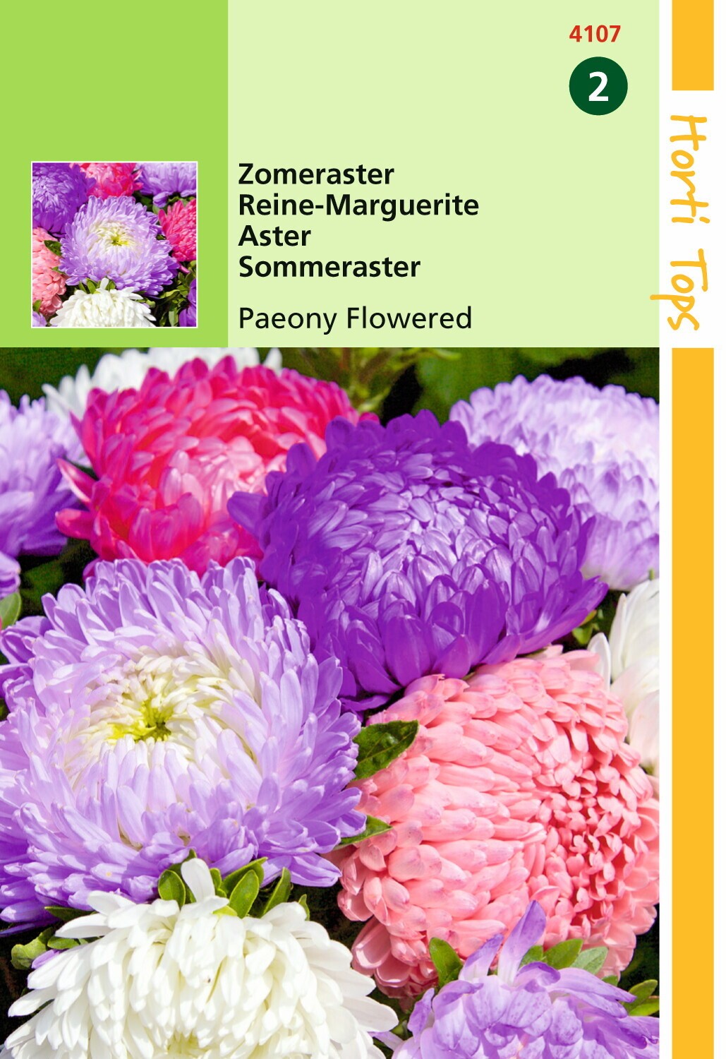 https://cdn.warentuin.nl/media/catalog/product/1/7/1778711117410706_hortitops_tuinzaden_hortitops_callistephus_zomeraster_pioenblo_f7cc.jpeg