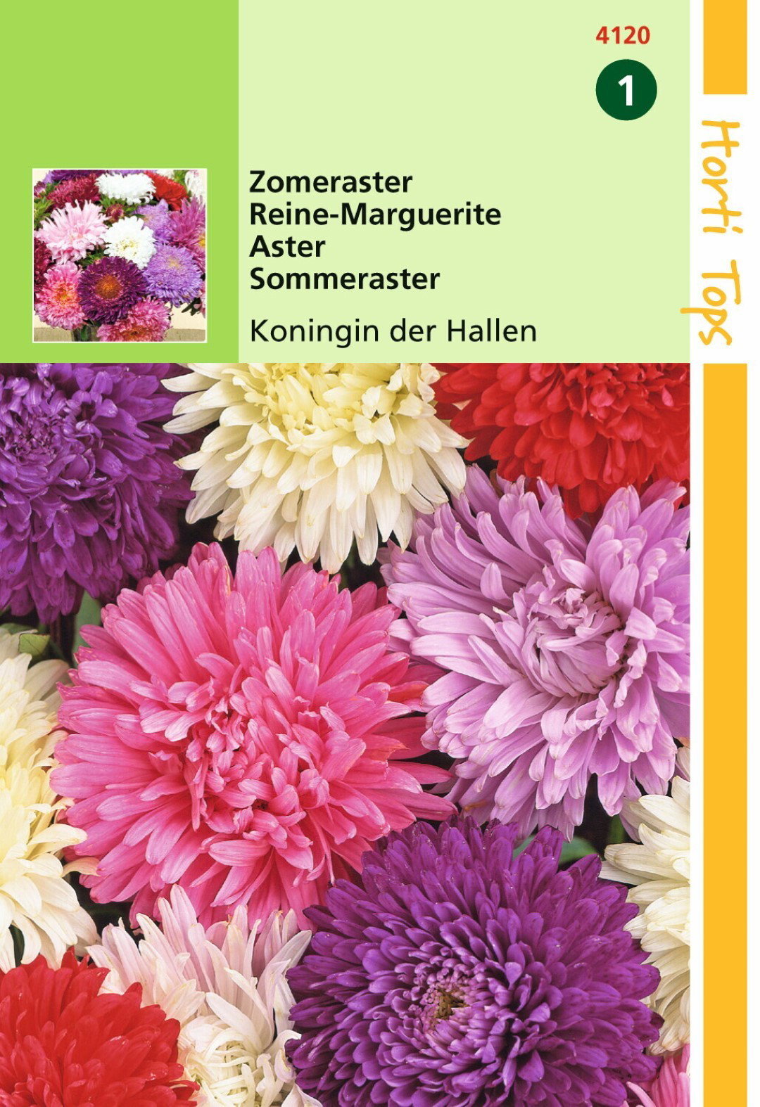 https://cdn.warentuin.nl/media/catalog/product/1/7/1778711117412007_hortitops_tuinzaden_hortitops_callistephus_zomeraster_koningin_a127.jpeg
