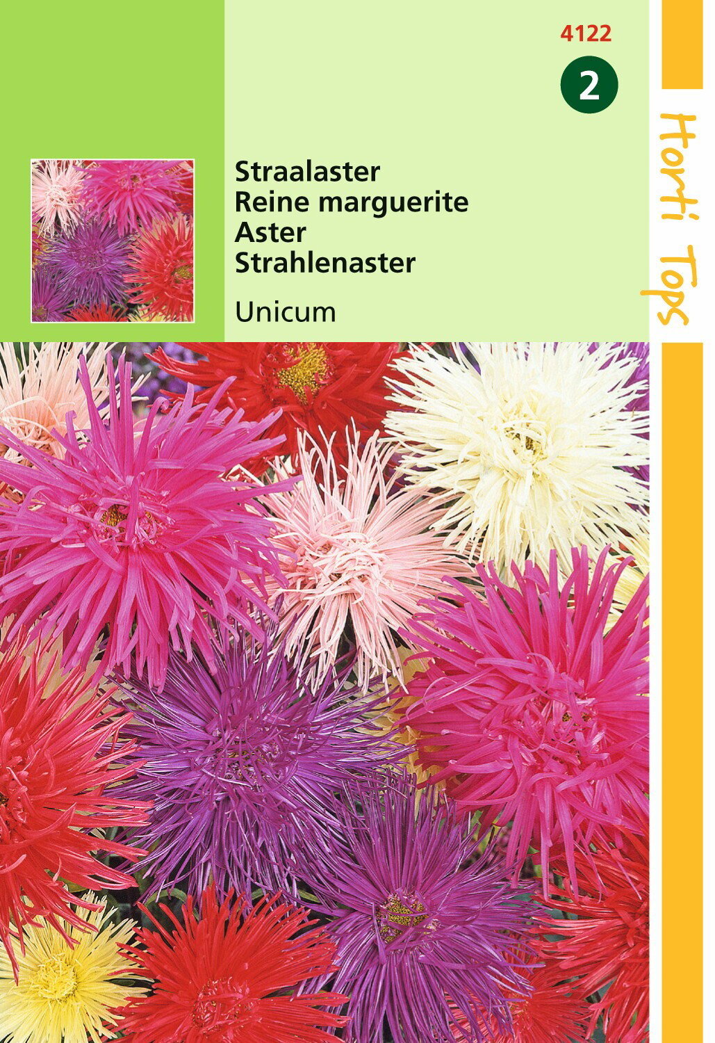 https://cdn.warentuin.nl/media/catalog/product/1/7/1778711117412205_hortitops_tuinzaden_hortitops_callistephus_staalaster_unicum_g_e500.jpeg