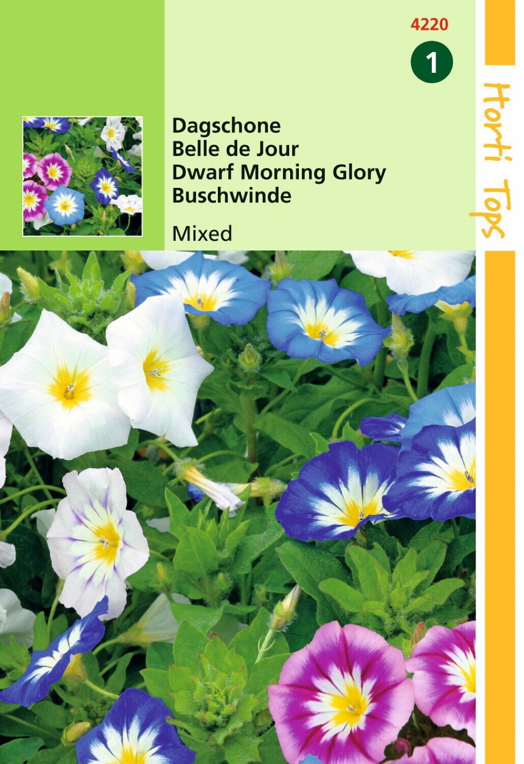 https://cdn.warentuin.nl/media/catalog/product/1/7/1778711117422006_hortitops_tuinzaden_hortitops_convolvulus_dagschone_gemengd_26a2.jpeg