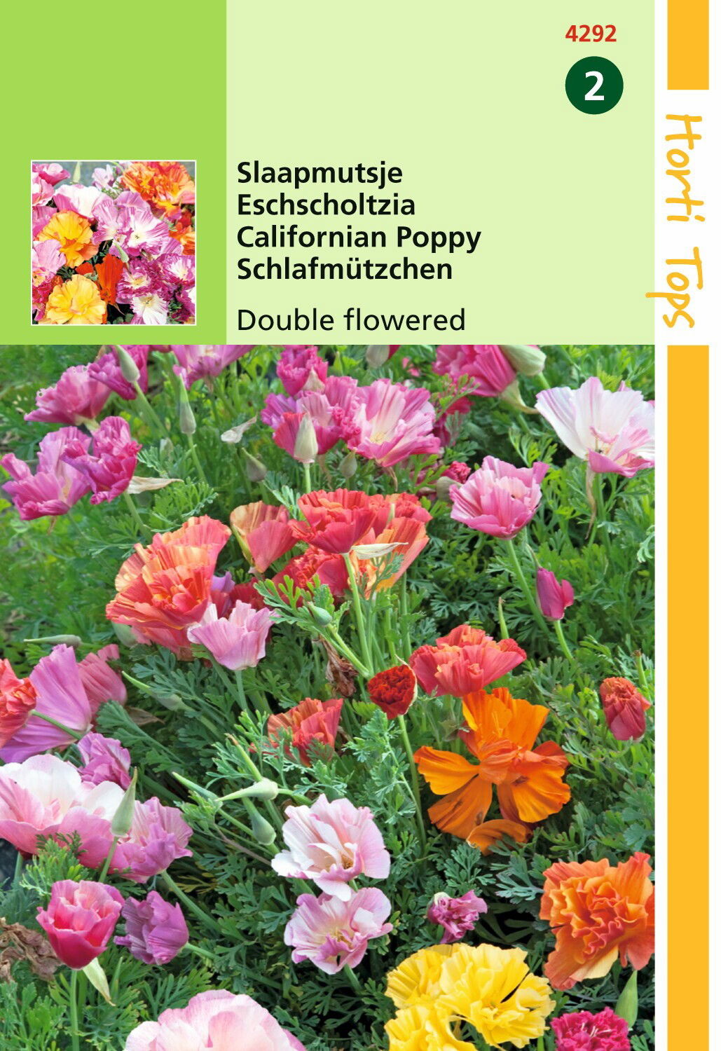 Eschscholtzia Californica Dubbelbl. Gem. - Hortitops