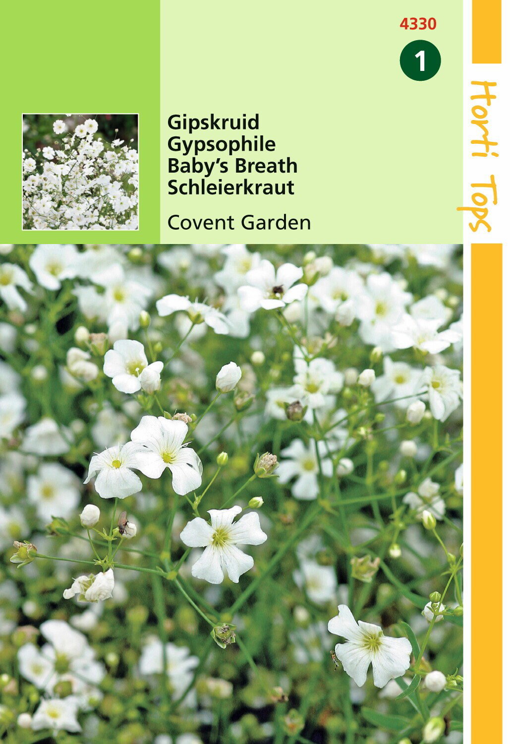 https://cdn.warentuin.nl/media/catalog/product/1/7/1778711117433002_hortitops_tuinzaden_hortitops_gypsophila_gipskruid_covent_gard_5a2e.jpeg