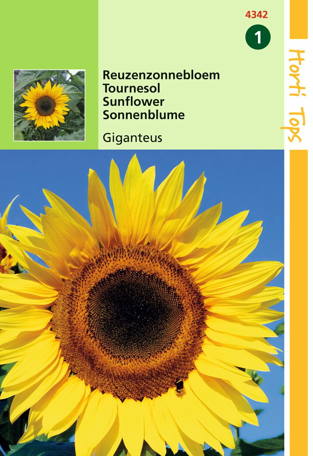 https://cdn.warentuin.nl/media/catalog/product/1/7/1778711117434207_hortitops_tuinzaden_hortitops_helianthus_zonnebloem_giganteus_9bd4.jpeg