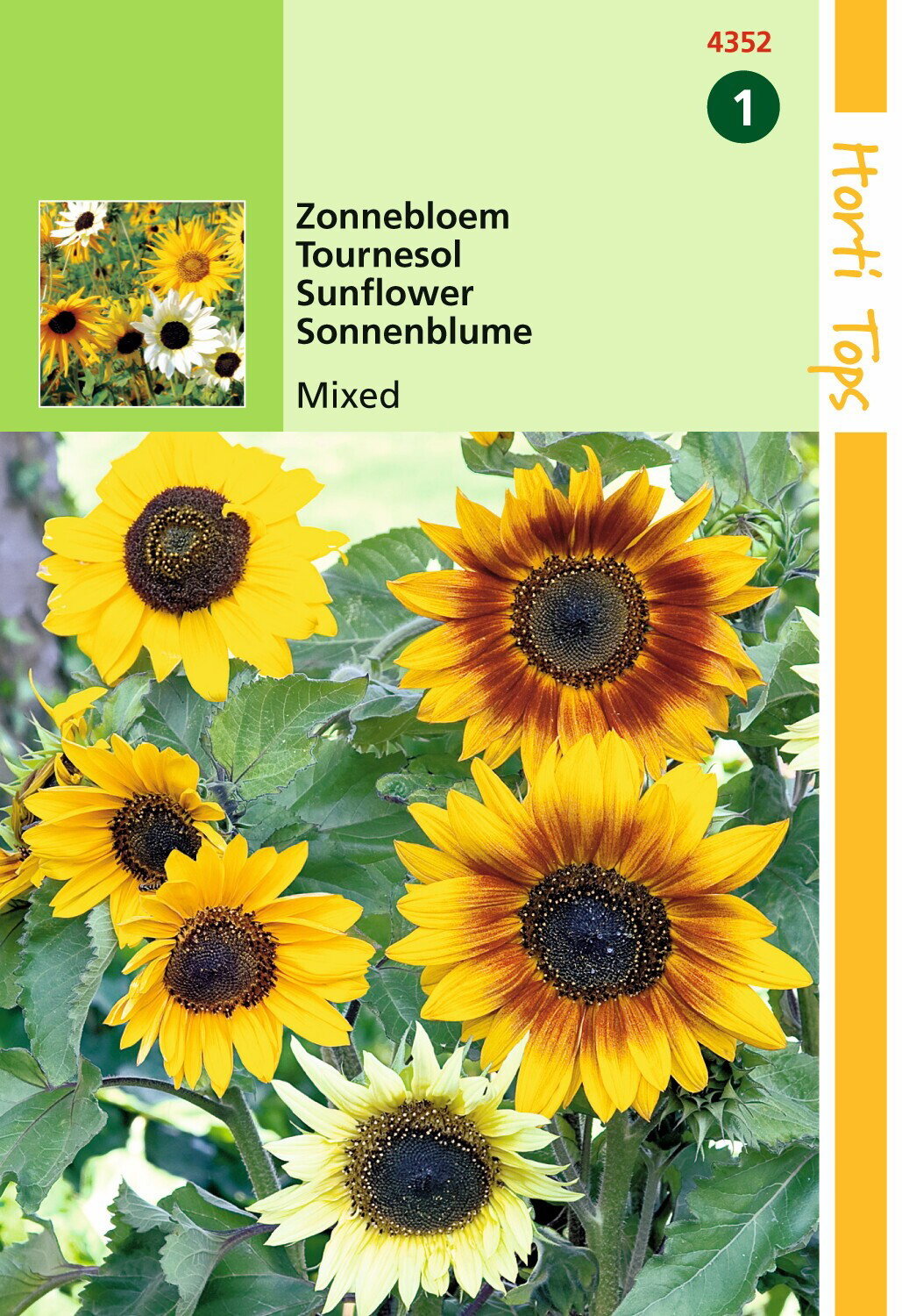 https://cdn.warentuin.nl/media/catalog/product/1/7/1778711117435204_hortitops_tuinzaden_hortitops_helianthus_zonnebloem_gemengd_f24d.jpeg