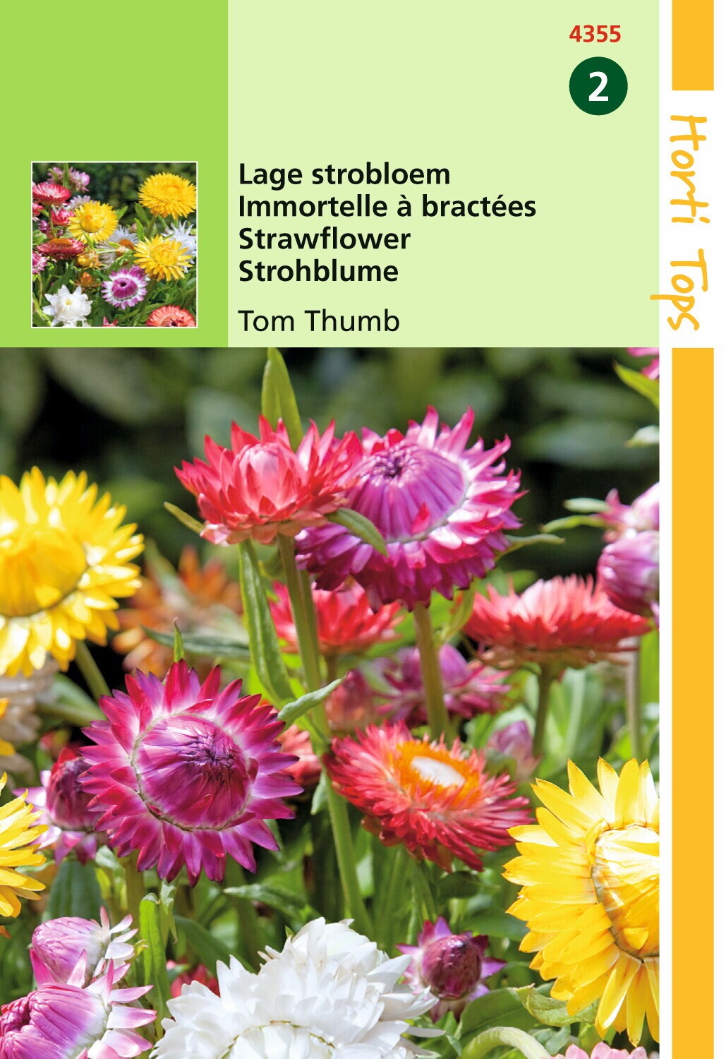 https://cdn.warentuin.nl/media/catalog/product/1/7/1778711117435501_hortitops_tuinzaden_hortitops_helichrysum_lage_strobloem_tom_t_f00b.jpeg