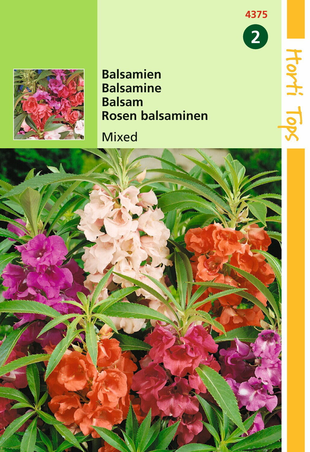 https://cdn.warentuin.nl/media/catalog/product/1/7/1778711117437505_hortitops_tuinzaden_hortitops_impatiens_balsamien_dubbelbloemi_d541.jpeg
