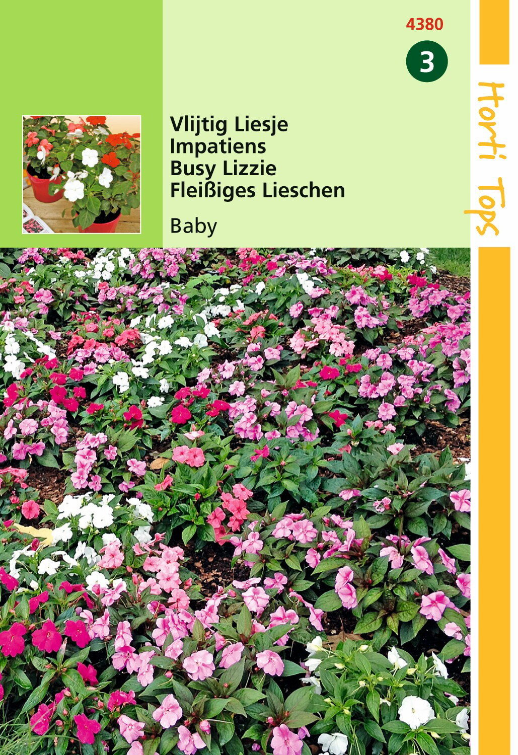 https://cdn.warentuin.nl/media/catalog/product/1/7/1778711117438007_hortitops_tuinzaden_hortitops_impatiens_vlijtig_liesjes_baby_g_d268.jpeg