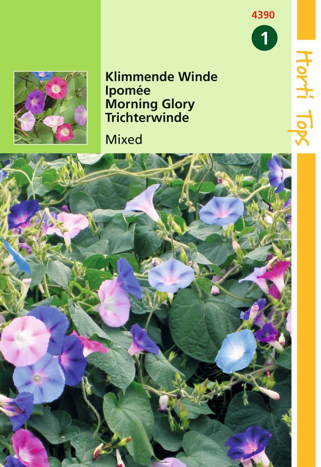 Agrandir l'image de Zaden Ipomoea Klimmende Winde gemengd Hortitops https://cdn.warentuin.nl/media/catalog/product/1/7/1778711117439004_hortitops_tuinzaden_hortitops_ipomoea_klimmende_winde_gemengd_8745.jpeg