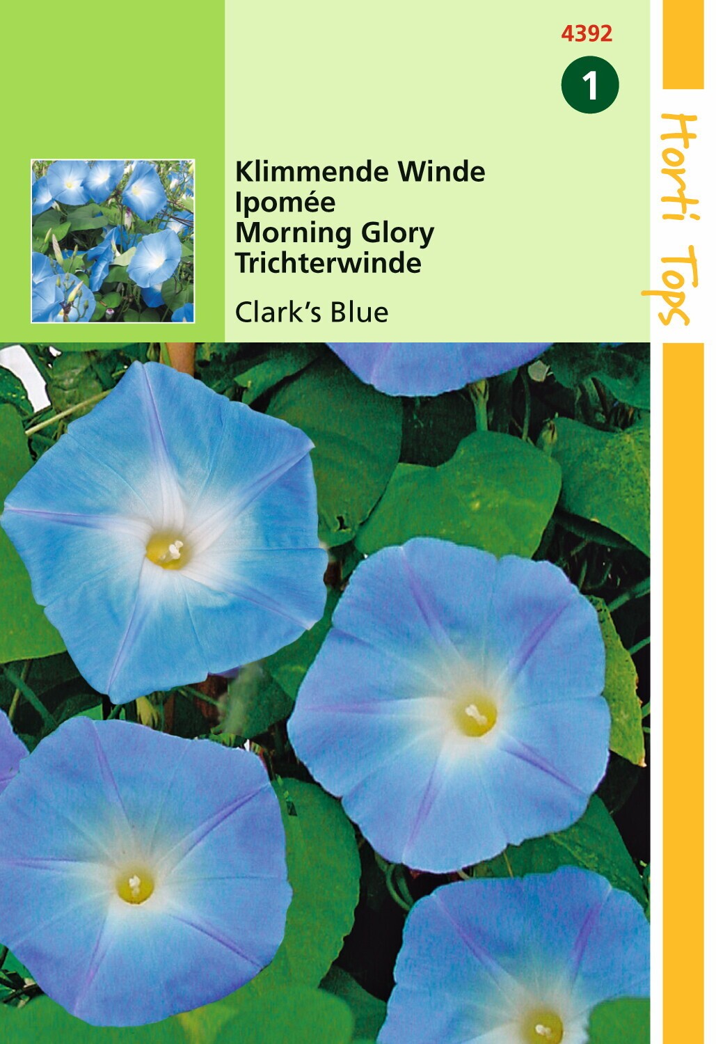 https://cdn.warentuin.nl/media/catalog/product/1/7/1778711117439202_hortitops_tuinzaden_hortitops_ipomoea_klimmende_winde_clark_s__bfdb.jpeg