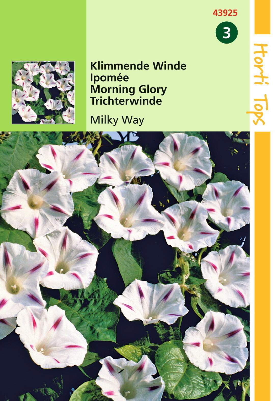 Agrandir l'image de Zaden Ipomoea Klimmende Winde Milky Way Hortitops https://cdn.warentuin.nl/media/catalog/product/1/7/1778711117439257_hortitops_tuinzaden_hortitops_ipomoea_klimmende_winde_milky_wa_1f4d.jpeg