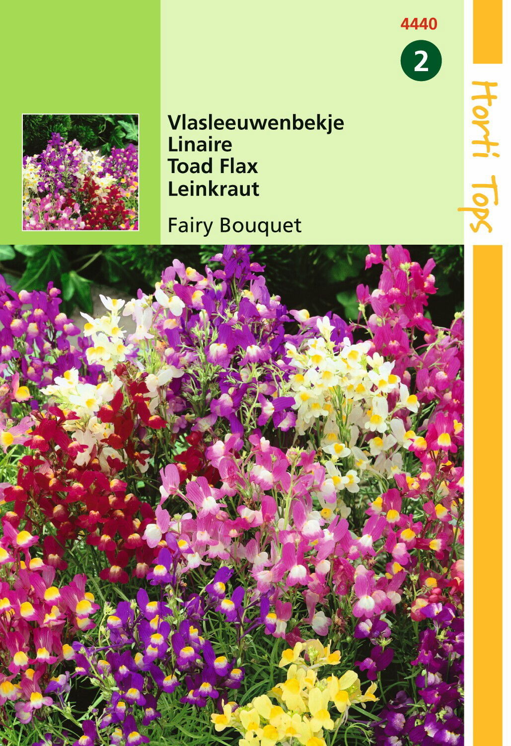 https://cdn.warentuin.nl/media/catalog/product/1/7/1778711117444008_hortitops_tuinzaden_hortitops_linaria_vlasleeuwenbekje_fairy_b_59a6.jpeg