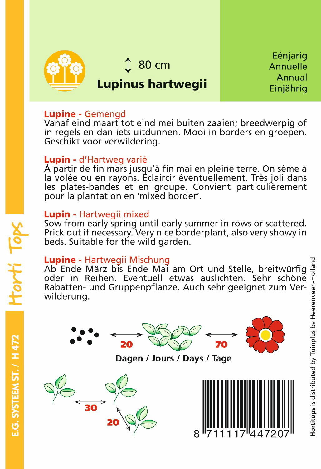 https://cdn.warentuin.nl/media/catalog/product/1/7/1778711117447207_1_hortitops_tuinzaden_hortitops_lupine_lupine_gemengd_0ac1.jpeg