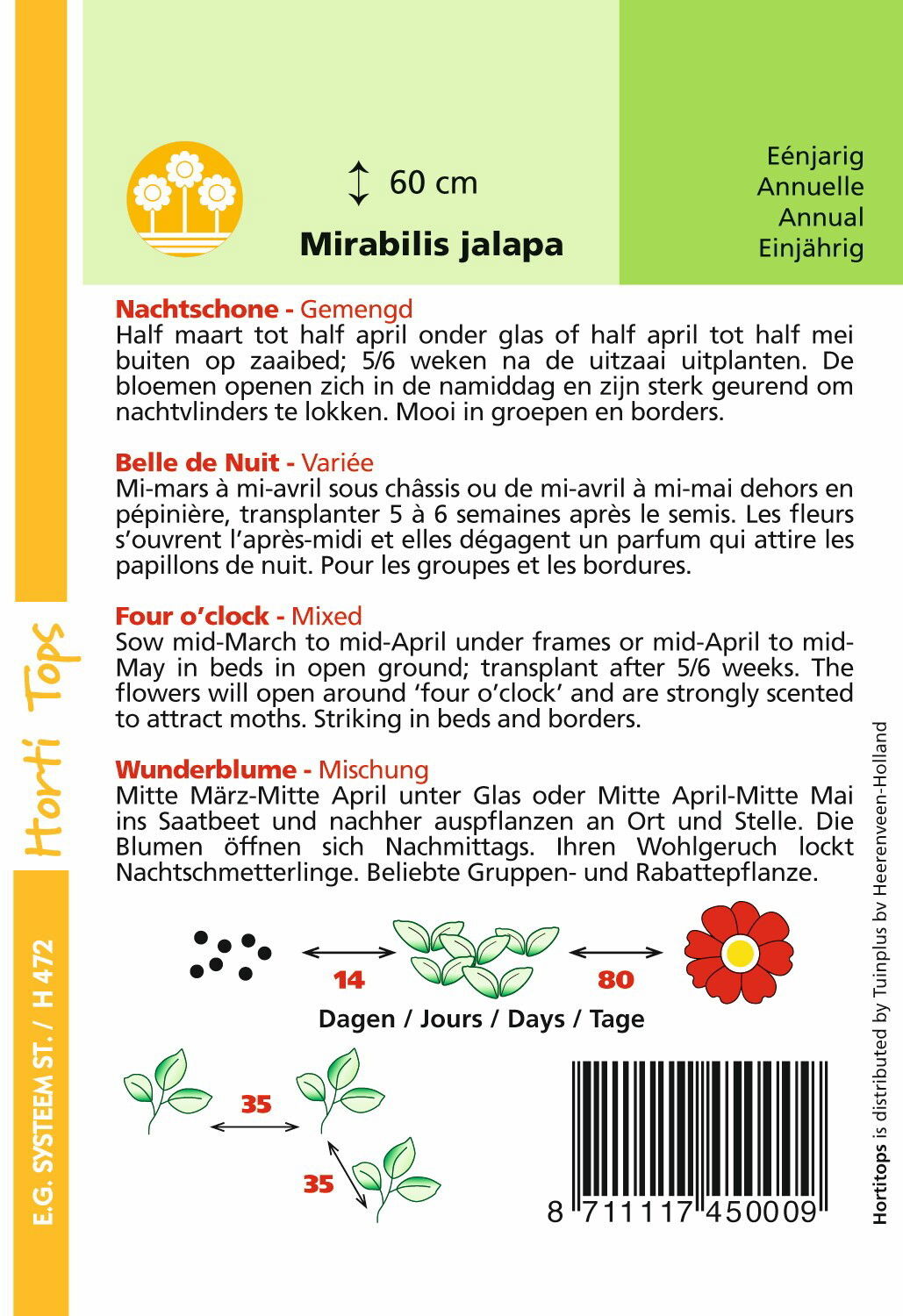 https://cdn.warentuin.nl/media/catalog/product/1/7/1778711117450009_1_hortitops_tuinzaden_hortitops_mirabilis_nachtschone_gemengd_e9aa.jpeg