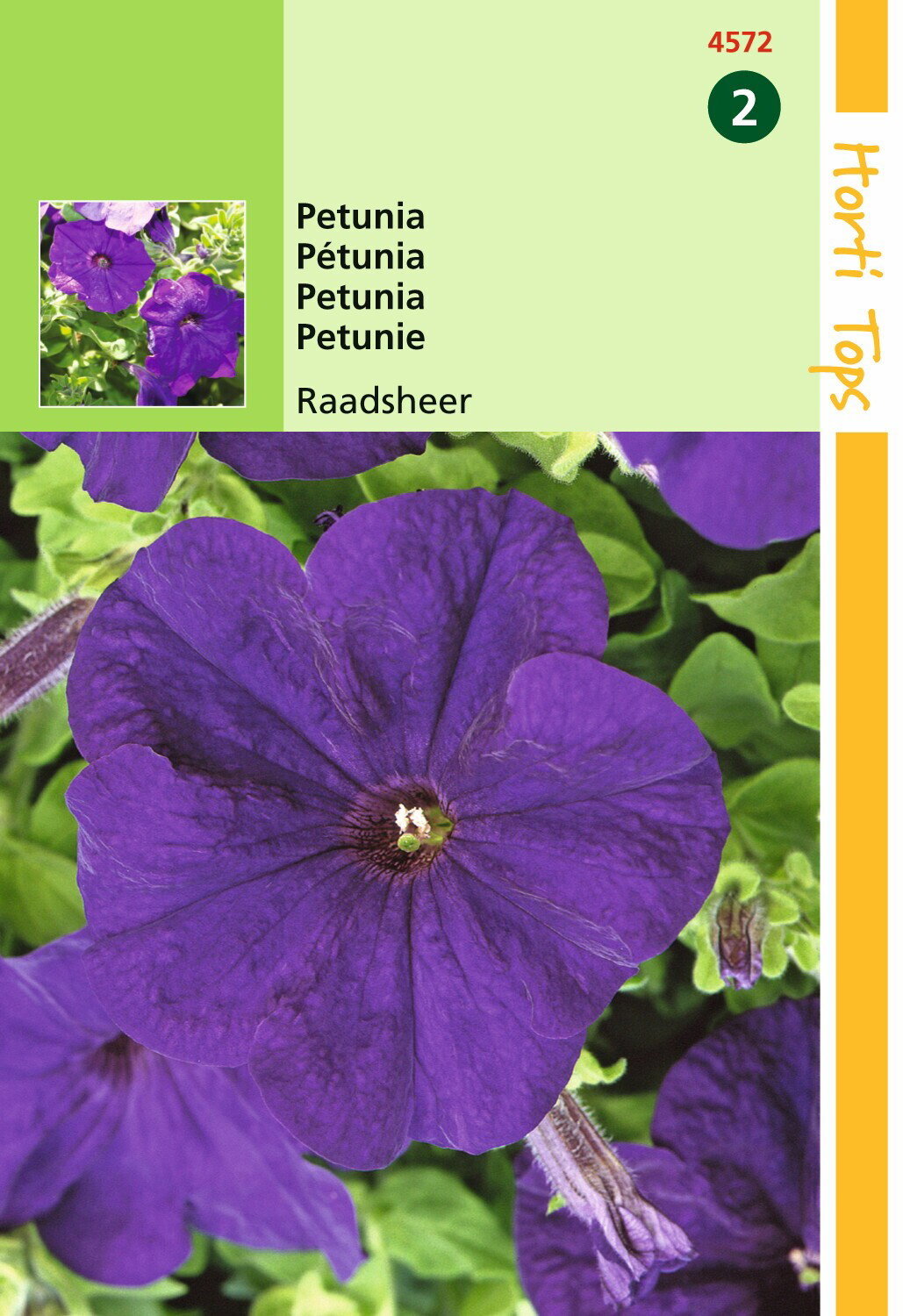 https://cdn.warentuin.nl/media/catalog/product/1/7/1778711117457206_hortitops_tuinzaden_hortitops_petunia_raadsheer_d745.jpeg