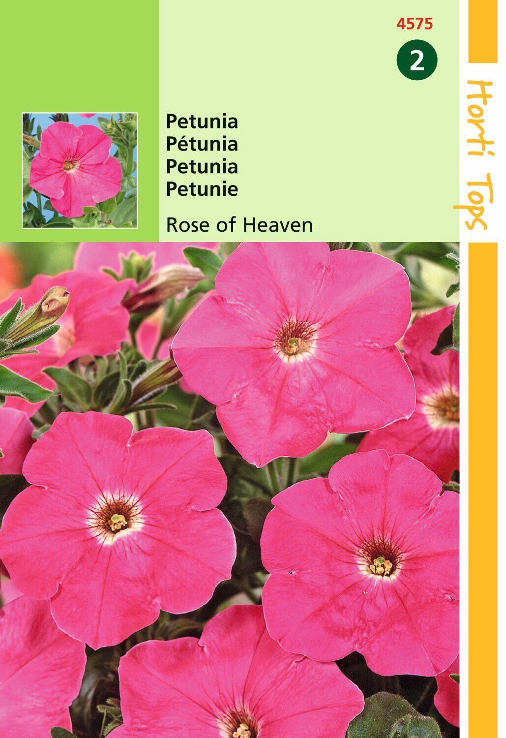 https://cdn.warentuin.nl/media/catalog/product/1/7/1778711117457503_hortitops_tuinzaden_hortitops_petunia_rose_of_heaven_db48.jpeg