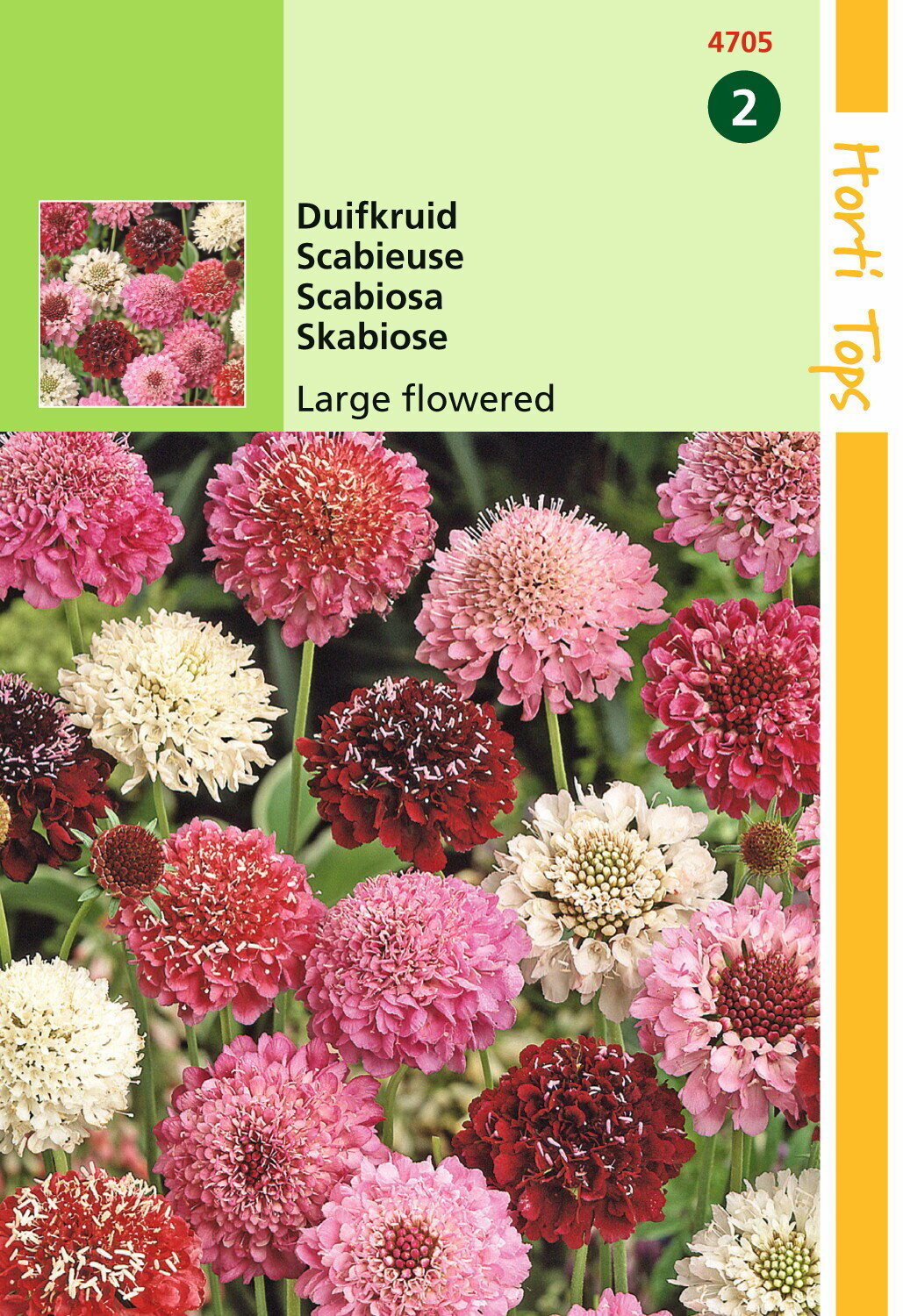 https://cdn.warentuin.nl/media/catalog/product/1/7/1778711117470502_hortitops_tuinzaden_hortitops_scabiosa_duifkruid_gemengd_04e7.jpeg