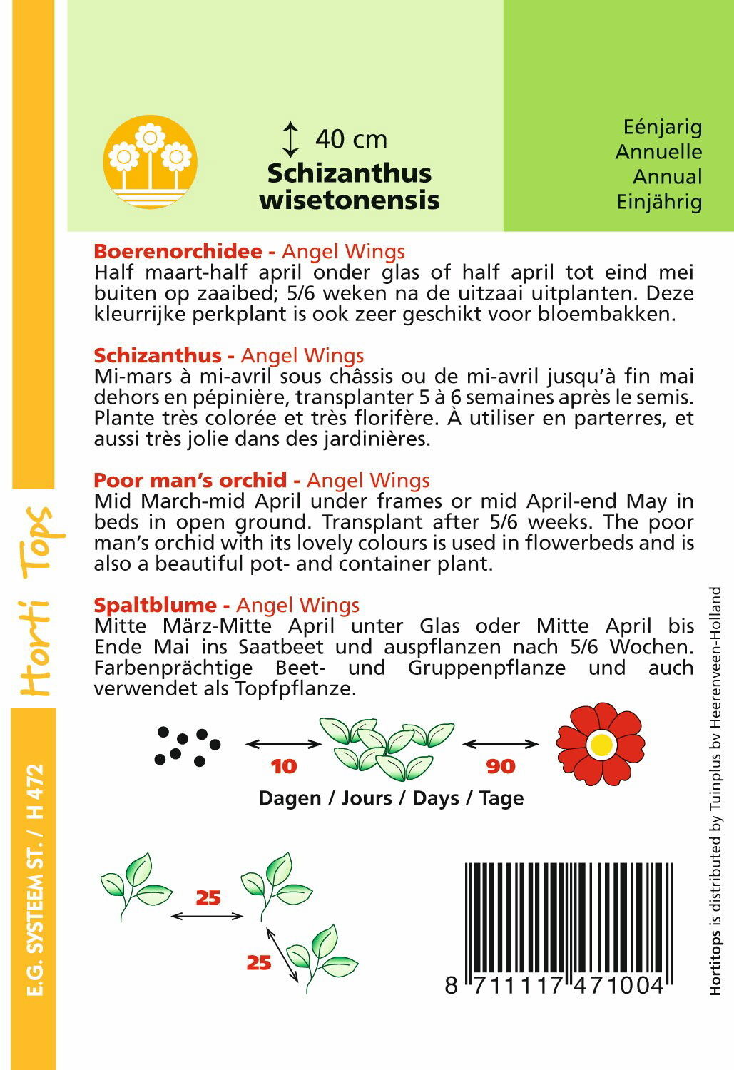 https://cdn.warentuin.nl/media/catalog/product/1/7/1778711117471004_1_hortitops_tuinzaden_hortitops_schizanthus_boerenochidee_ange_c995.jpeg