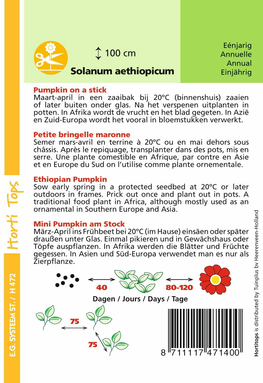 https://cdn.warentuin.nl/media/catalog/product/1/7/1778711117471400_1_hortitops_tuinzaden_hortitops_solanum_pumpkin_on_a_stick_efa3.jpeg