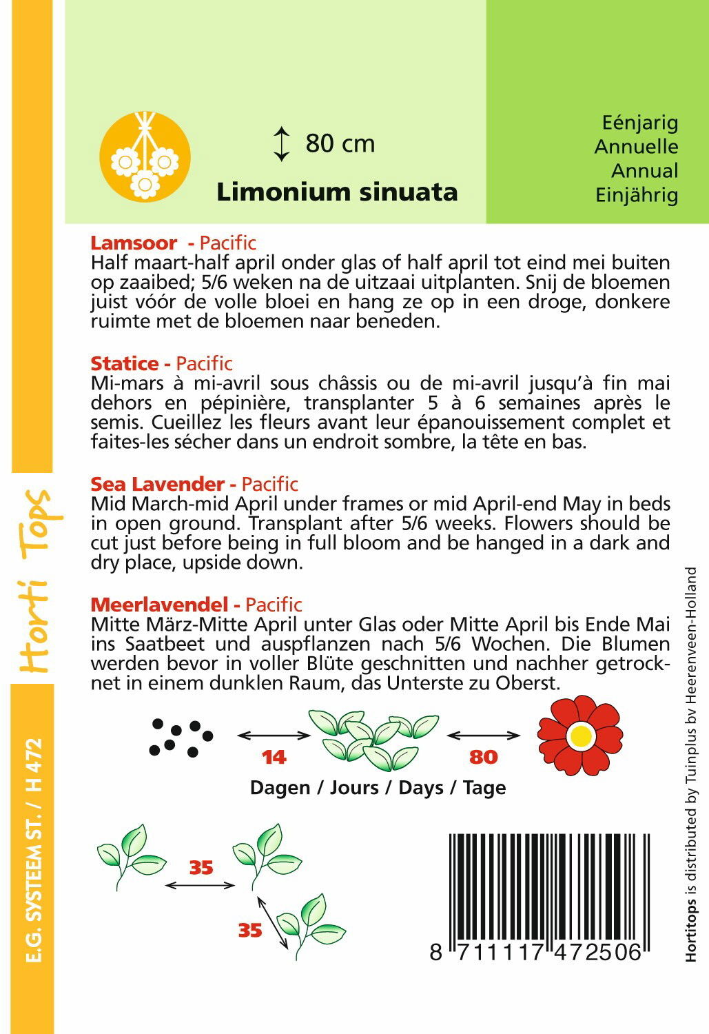 https://cdn.warentuin.nl/media/catalog/product/1/7/1778711117472506_1_hortitops_tuinzaden_hortitops_statice_lamsoor_pacific_gemeng_1b61.jpeg