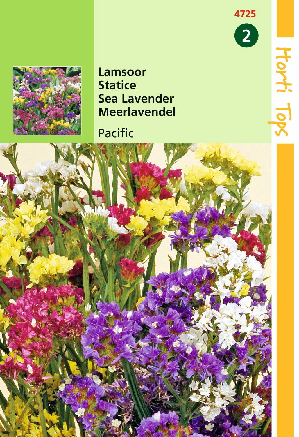 https://cdn.warentuin.nl/media/catalog/product/1/7/1778711117472506_hortitops_tuinzaden_hortitops_statice_lamsoor_pacific_gemengd_730f.jpeg