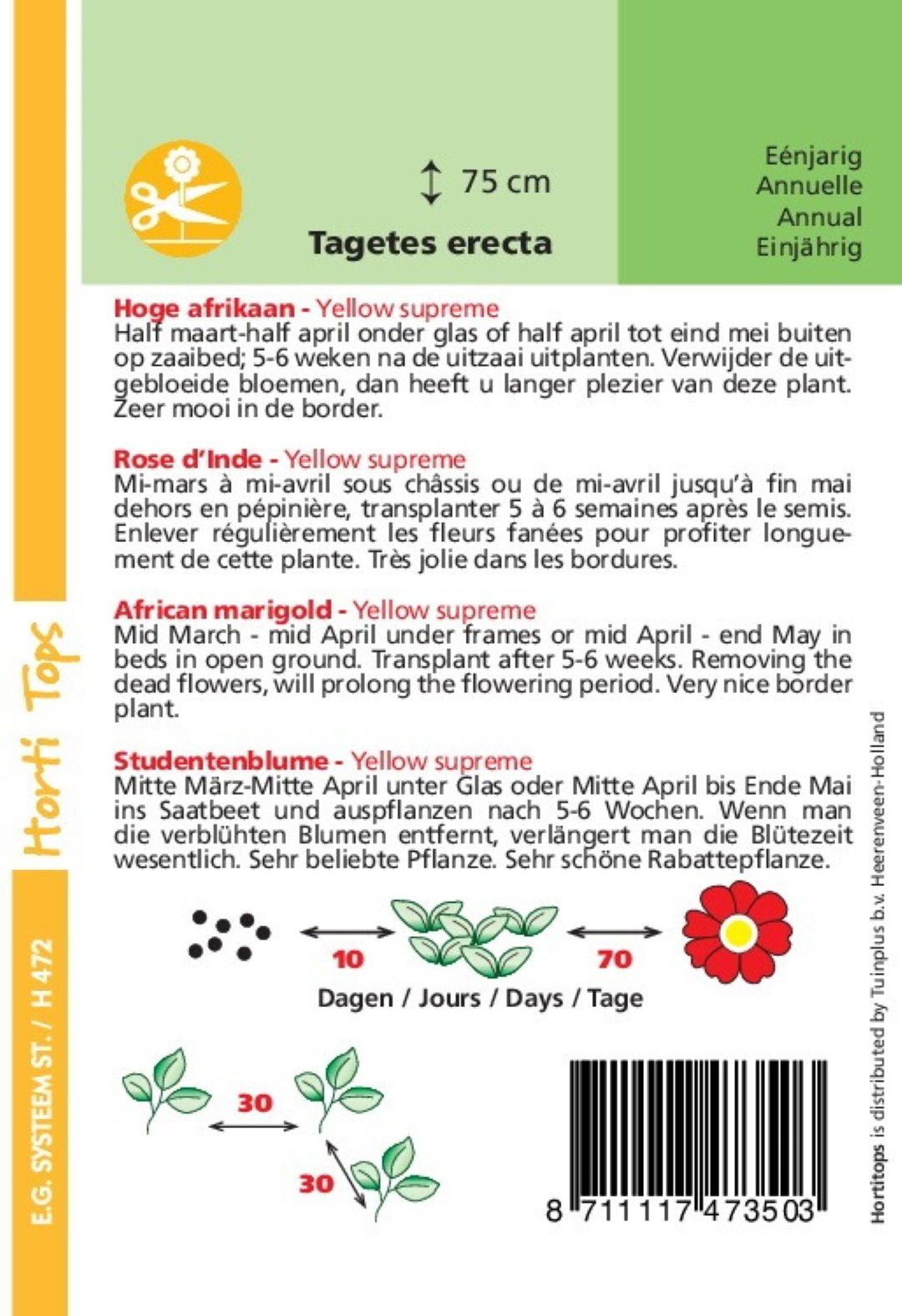 https://cdn.warentuin.nl/media/catalog/product/1/7/1778711117473503_1_hortitops_tuinzaden_hortitops_tagetes_hoge_afrikaan_yellow_s_ca44.jpeg