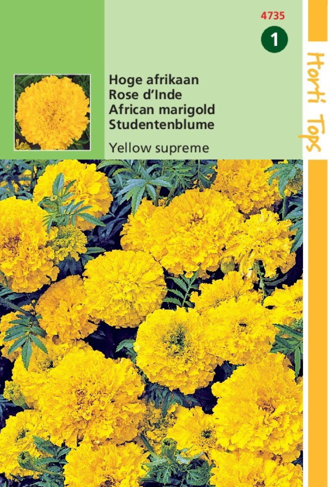 https://cdn.warentuin.nl/media/catalog/product/1/7/1778711117473503_hortitops_tuinzaden_hortitops_tagetes_hoge_afrikaan_yellow_sup_dd08.jpeg