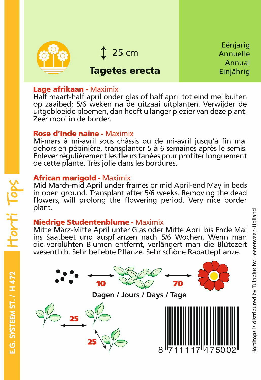 https://cdn.warentuin.nl/media/catalog/product/1/7/1778711117475002_1_hortitops_tuinzaden_hortitops_tagetes_lage_afrikaan_maximix_5c9f.jpeg