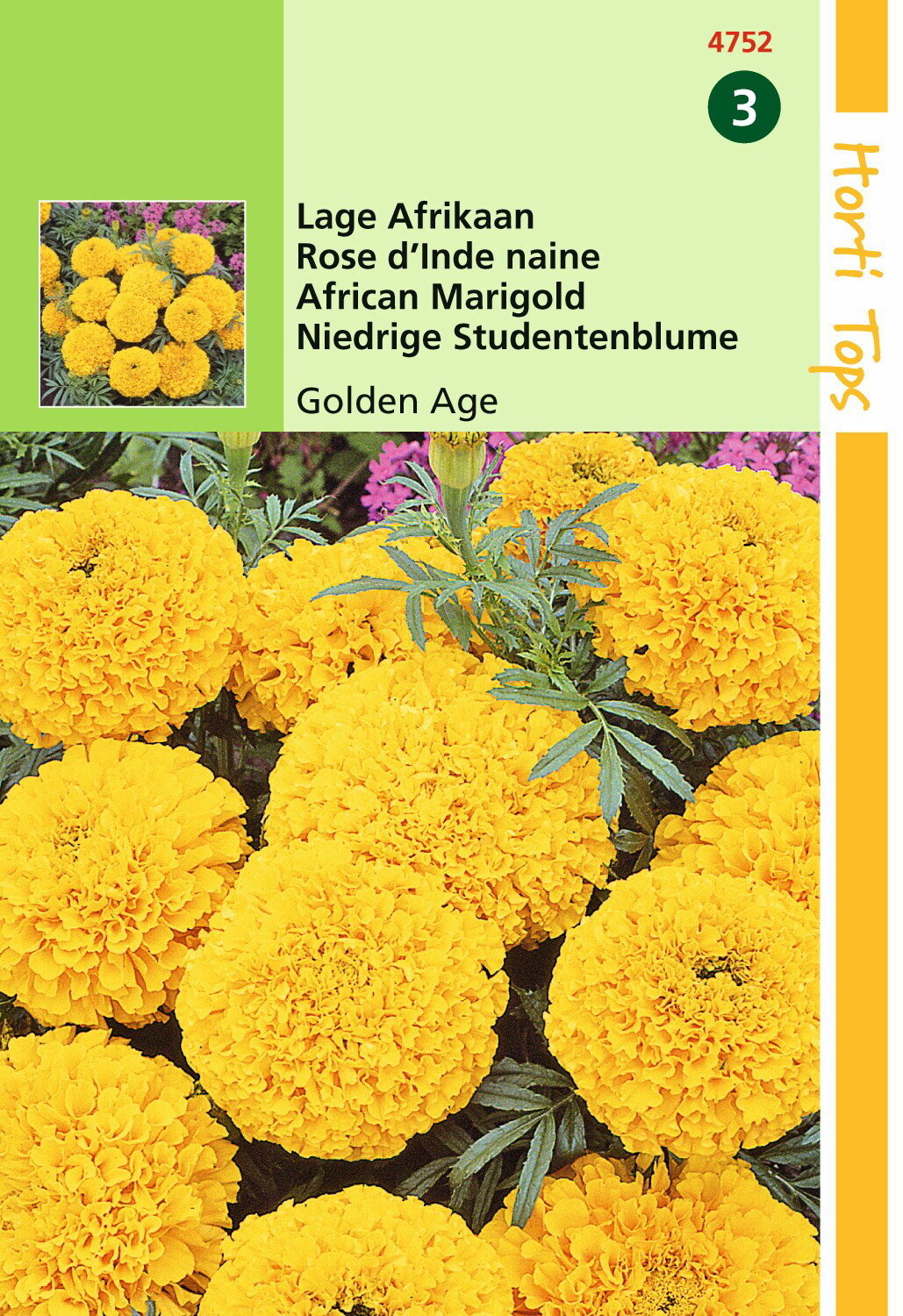https://cdn.warentuin.nl/media/catalog/product/1/7/1778711117475200_hortitops_tuinzaden_hortitops_tagetes_lage_afrikaan_golden_age_a7f0.jpeg