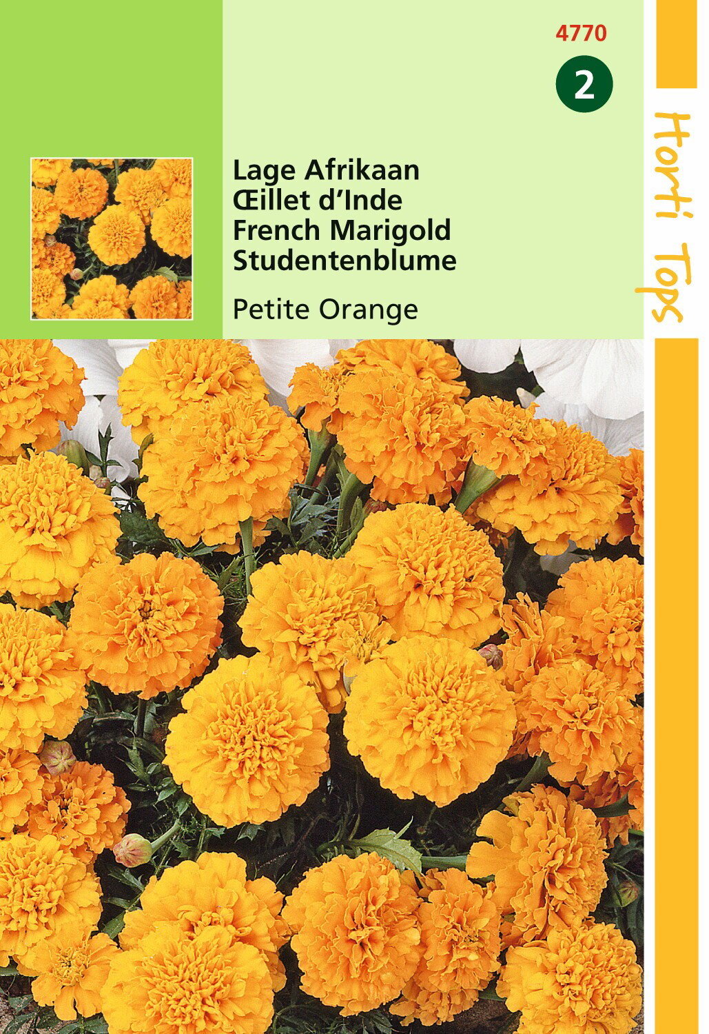 https://cdn.warentuin.nl/media/catalog/product/1/7/1778711117477006_hortitops_tuinzaden_hortitops_tagetes_lage_afrikaan_petite_ora_aac6.jpeg