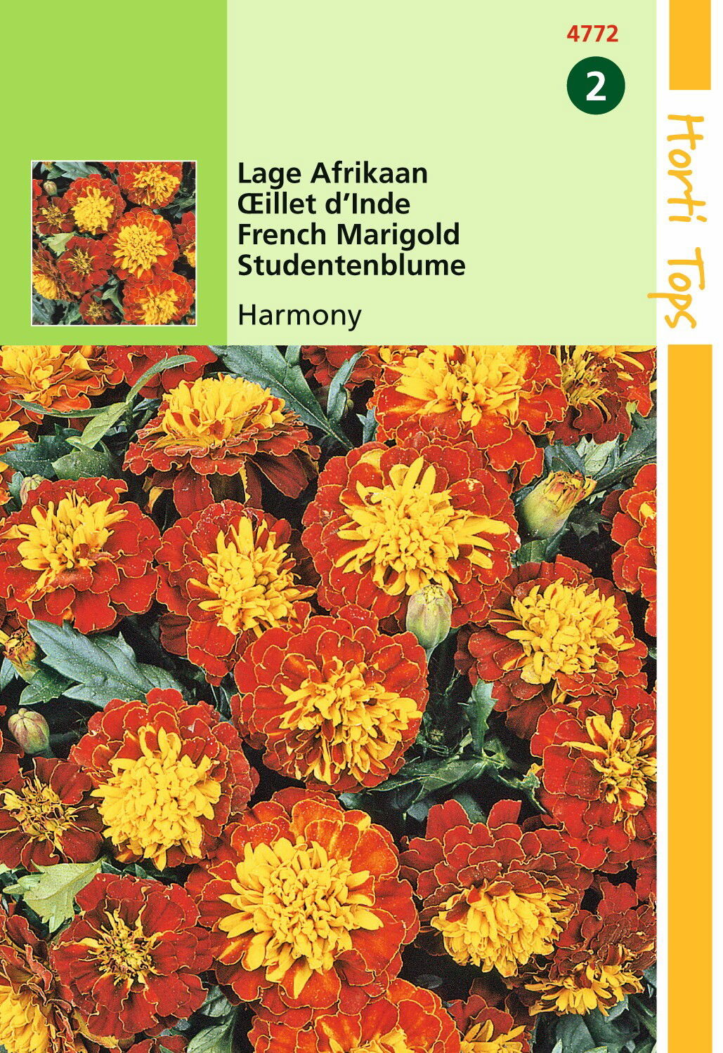 https://cdn.warentuin.nl/media/catalog/product/1/7/1778711117477204_hortitops_tuinzaden_hortitops_tagetes_lage_afrikaan_petite_har_0899.jpeg