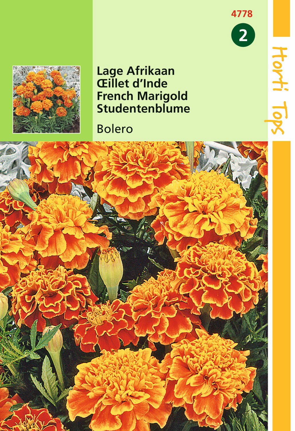 https://cdn.warentuin.nl/media/catalog/product/1/7/1778711117477808_hortitops_tuinzaden_hortitops_tagetes_lage_afrikaan_bolero_4116.jpeg