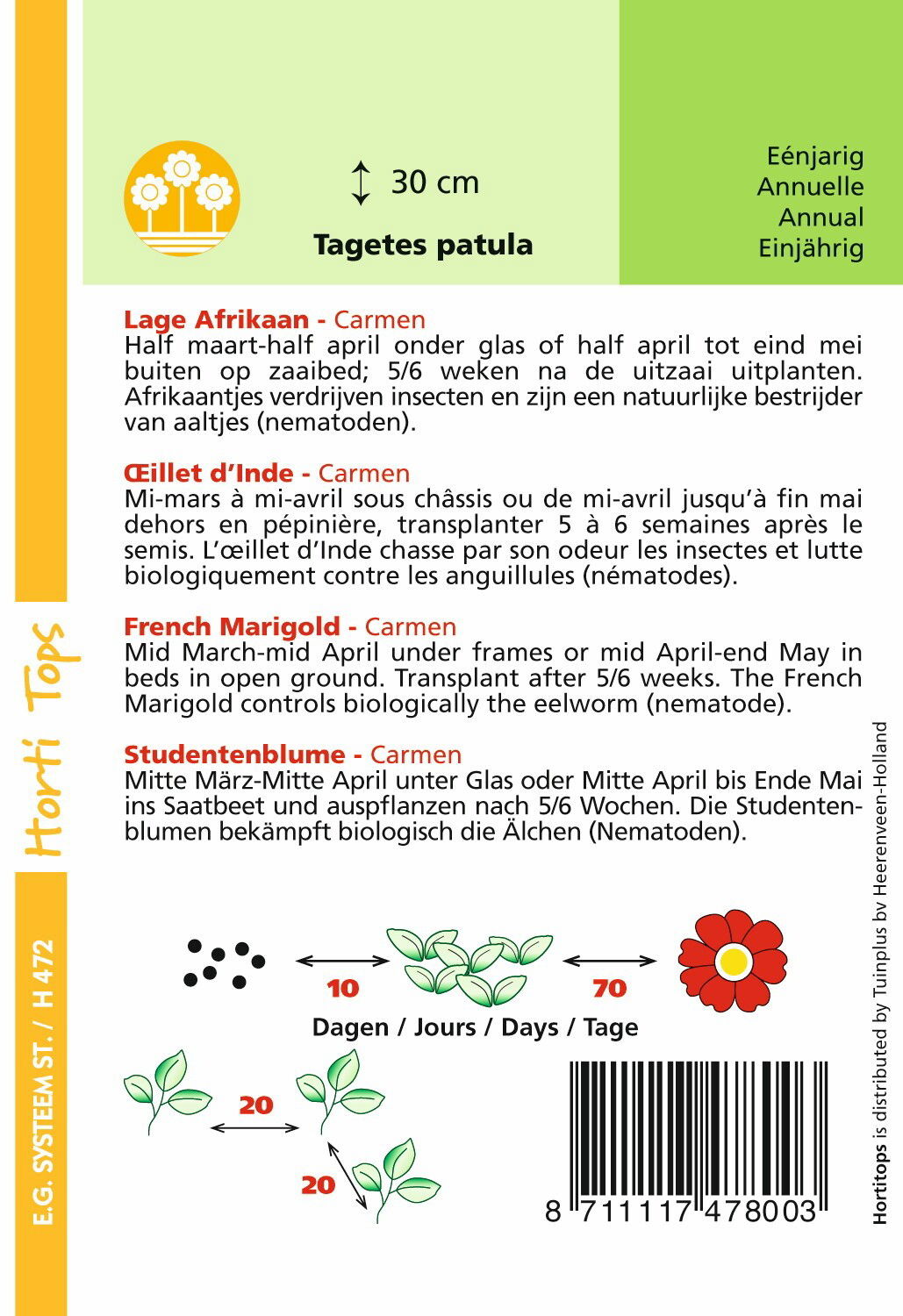 https://cdn.warentuin.nl/media/catalog/product/1/7/1778711117478003_1_hortitops_tuinzaden_hortitops_tagetes_lage_afrikaan_carmen_86ad.jpeg