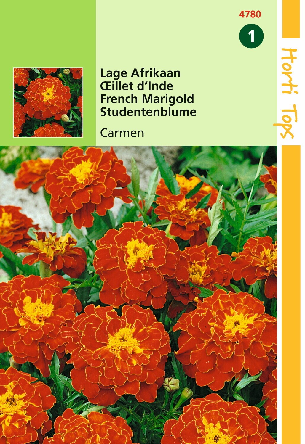 https://cdn.warentuin.nl/media/catalog/product/1/7/1778711117478003_hortitops_tuinzaden_hortitops_tagetes_lage_afrikaan_carmen_3d0d.jpeg