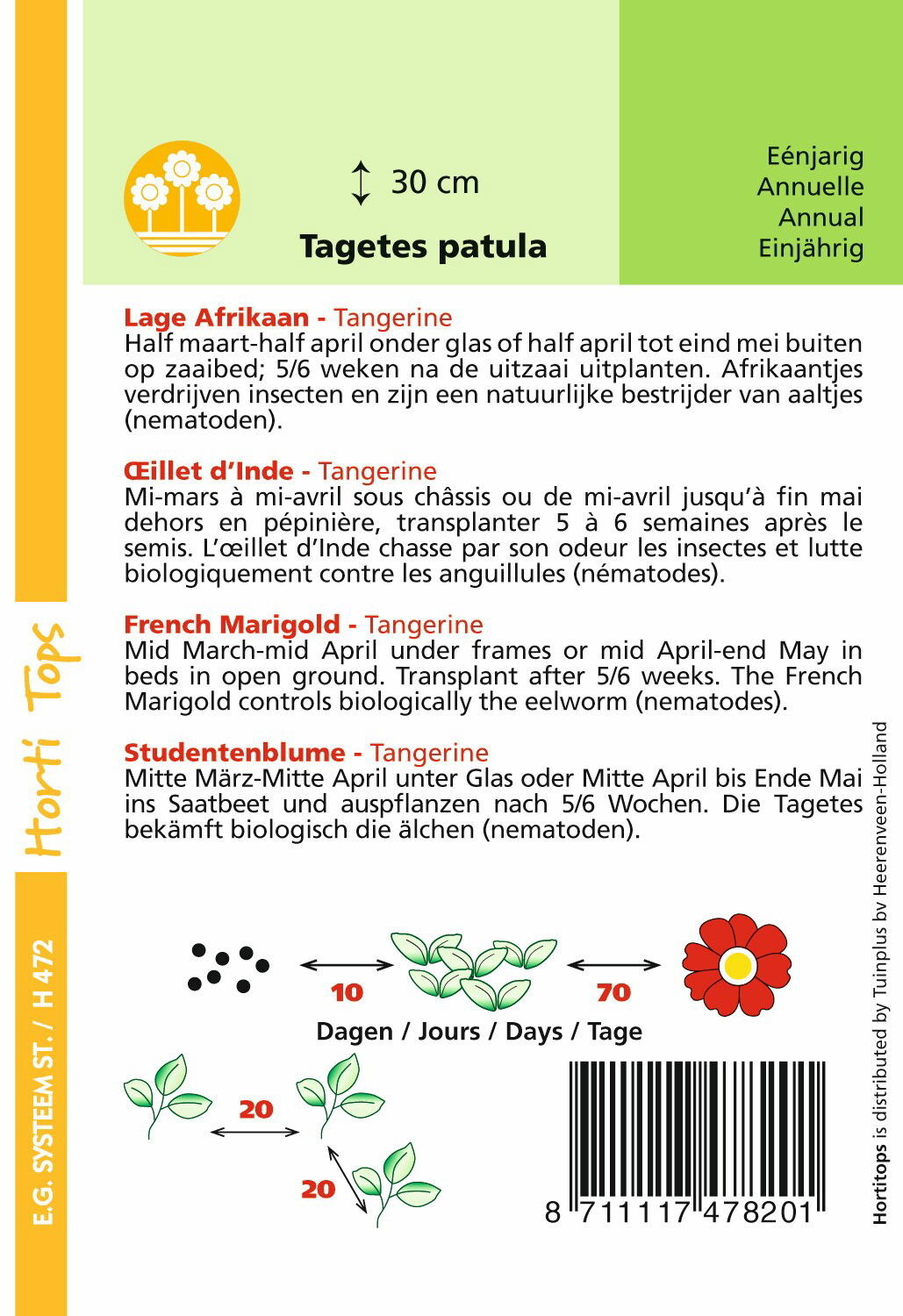 https://cdn.warentuin.nl/media/catalog/product/1/7/1778711117478201_1_hortitops_tuinzaden_hortitops_tagetes_lage_afrikaan_tangerin_1541.jpeg