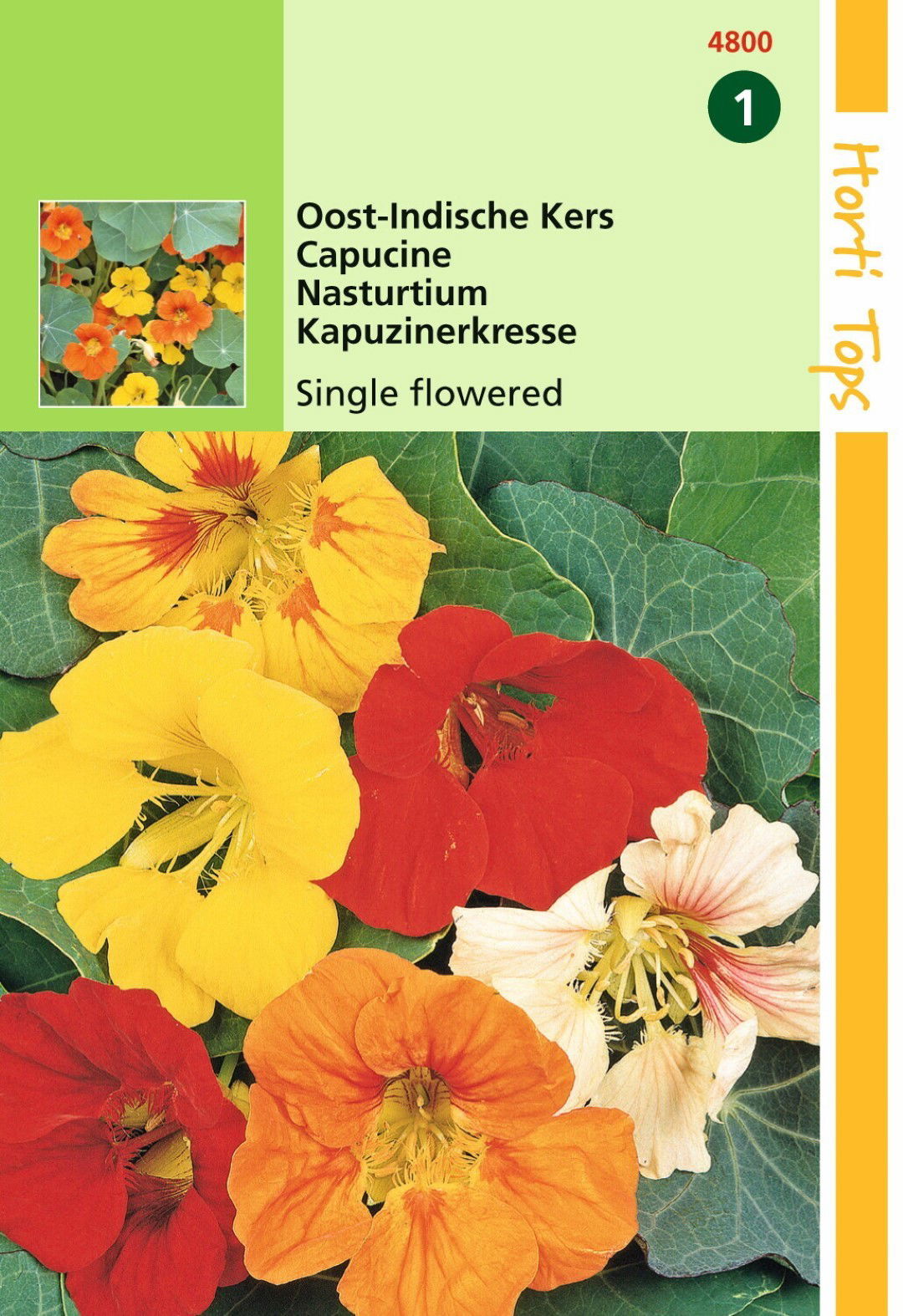 https://cdn.warentuin.nl/media/catalog/product/1/7/1778711117480006_hortitops_tuinzaden_hortitops_tropaeolum_oost_indische_kers_en_2bb8.jpeg