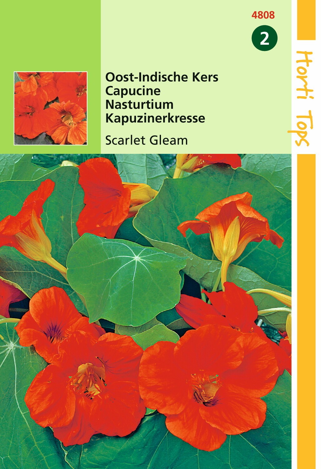 https://cdn.warentuin.nl/media/catalog/product/1/7/1778711117480808_hortitops_tuinzaden_hortitops_tropaeolum_oost_indische_kers_sc_e972.jpeg